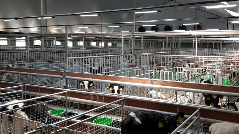 跨境电商代运营加盟报价标准