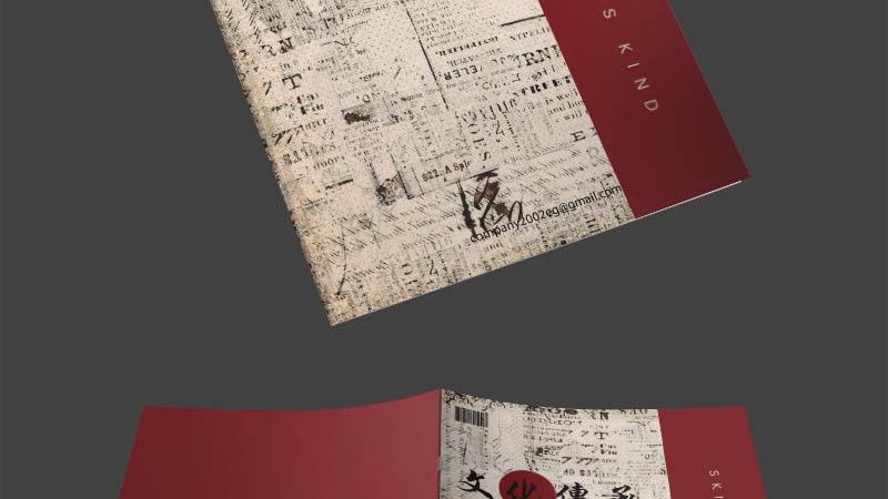 以下为几个成功申报电商孵化项目的企业案例，供参考：